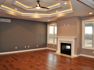 Ceiling - Hexagon Ceiling / Fireplace